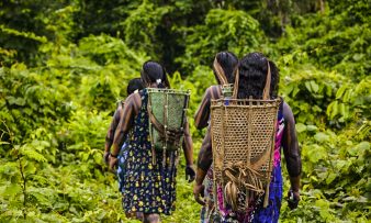 tradição e futuro na amazônia kayapó